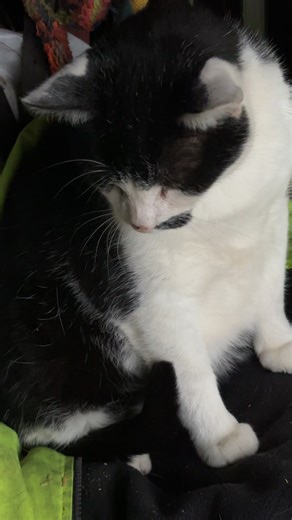 Life of Brian on Reels