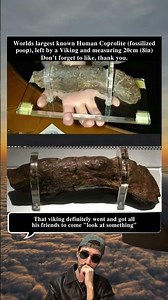 World’s Largest Human Coprolite Left by a Viking Measures 20cm Long