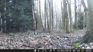 12 reactions · 5 comments |  Our latest Night Vision Camera footage...