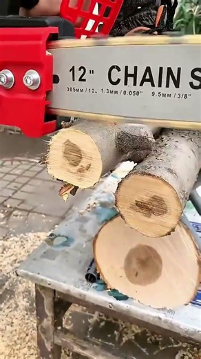 Cutting Small Logs Using Chainsaws For Professional Detailed Creative Woodworking Projects