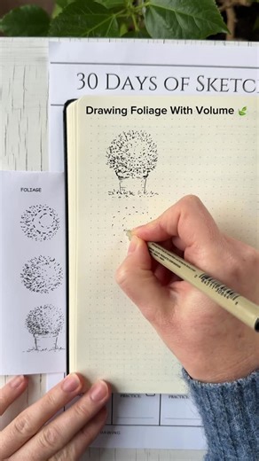 Daria Bogdanova on Instagram: "How to draw foliage with volume. This can be used for shrubs, plants, and trees 🌳 I’m using a pocket practice card to refresh my memory ✍🏻 It’s day 6 out of 30 days of sketching. I often get questions and requests to share the prompts and a schedule. The thing is, I suggest that if you want to start your own 30 days, you design your practice and create the “rules” that work best for you: how long you practice each day (about 25 minutes, for example), and which ex