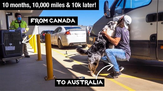 Remember when Occy Reunited with Owner After COVID 🥺 | Max & Occy