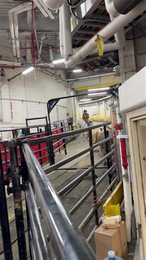 Blister and Loaded Question are ready for night 2 at the Madison Square Garden for the PBR! | Nothin' But Try Ranch and Event Center