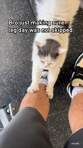 Love is pain | Meowed