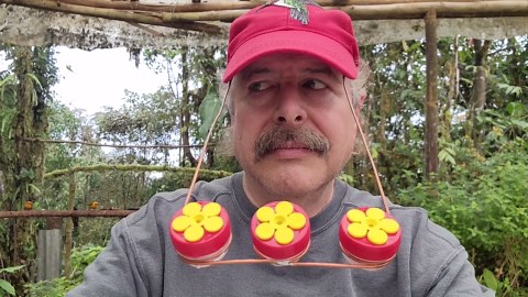 Ecuador 2022 Hummingbird Hat Feeder