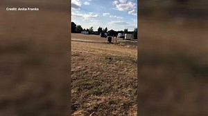 Travellers remain in Northfleet