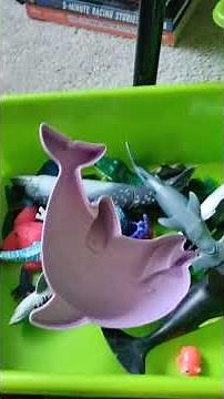 strawberry jam toys