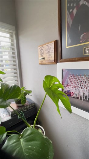 Cuidado de Plantas: Mis Tres Favoritas