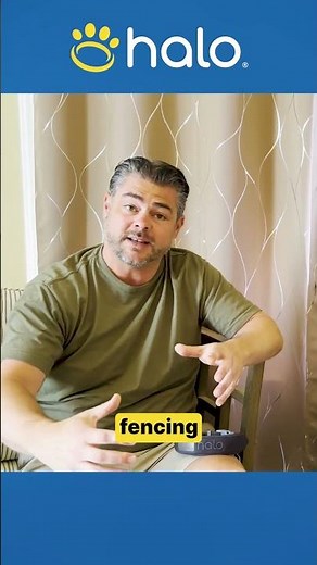 Best Alternative Solution to Electric Fence for Dog Safety