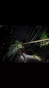 13K views · 49 reactions | fallen coconut tree in our line in Brgy Mayana Purok 5, Jagna @topfans #highlights #highlightseveryone #followerseveryone | BOHECO II | Facebook