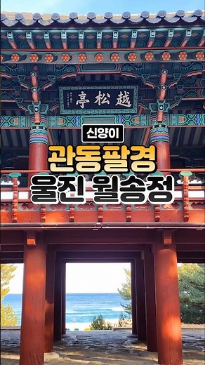 관동팔경 으뜸 금강송 소나무숲 걸어 울진 월송정