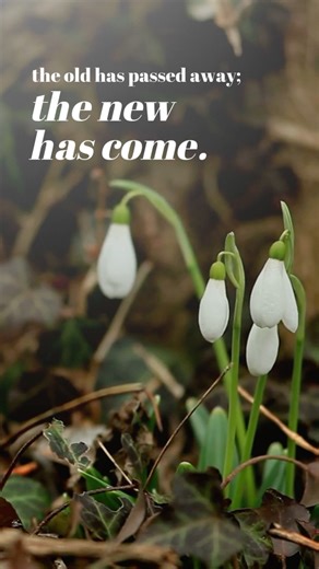 February is here, and with it comes the promise of Spring. If January has been a hard month for you, rest in the knowledge that He is making all things new. #thurnbychurch #spring #Thurnby #february #newmonth #newlife | Thurnby Church
