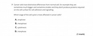 7 Cancer cells have distinctive differences from normal cell, f... | Filo
