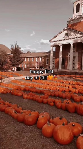 It’s finally FALL! 🍁🎃🧡🥲 all the feels. #autumnvibes #autumnaesthetic #fallvibes🍂 #fallvideos #autumnvlog #autumnmood #fallishere #pumpkinseason