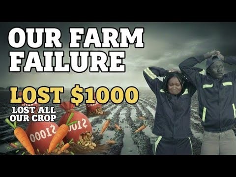 Our Carrot Farming Project Update: Here is how it failed