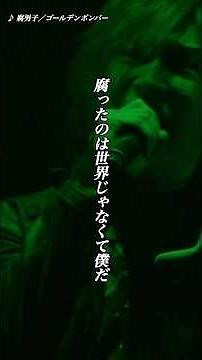 腐男子／ゴールデンボンバー ライブ映像／歌詞付き ショート動画