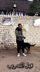 1.1M views · 20K reactions | سر الاختلاف بولت اكاديمي 刺طبعا الرقم فالفيديو والعنوان ابو رواش طريق المنصوريه 﫶 | Bolt Academy | Facebook