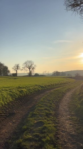 Exploring Serene Outdoor Paths in Nature
