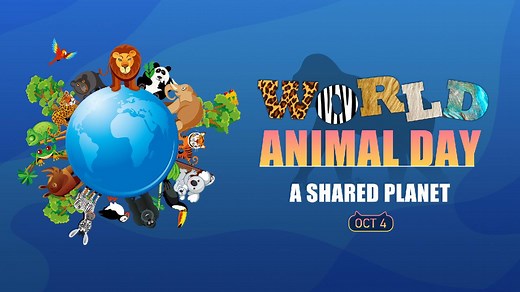 World Animal Day: A Shared Planet
