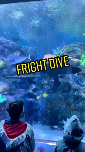 This #AOPNightDive was one for the books! 👻🎃💀 #aquariumofthepacific #longbeach