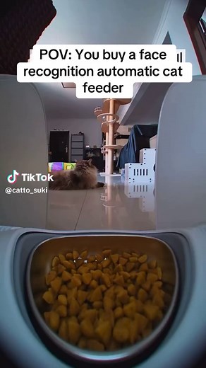 Face Recognition Automatic Cat Feeder – How It Works for Your Cat