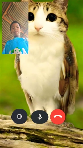 12 ธันวาคม ค.ศ. 2025