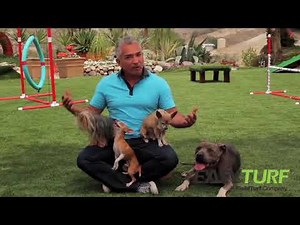 Easy Turf Promotion Video