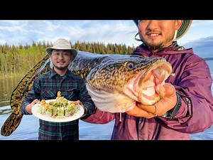 LAKE ISLAND CAMPING IN CANADA | Burbot(freshwater cod) Sushi