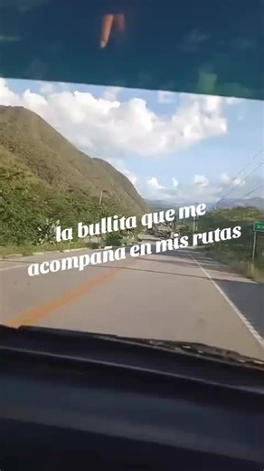 Videos de Moisés bernal.. (@moisesbernal___) con “sonido original - RODO BRIONES - ROBLE 🇵🇪”