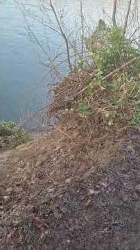 Meldrum Bar landslide