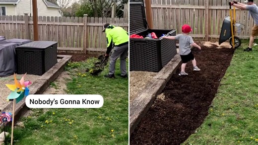 I built the perfect raised flowerbeds with a clever cardboard hack & it’s free