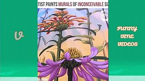 Vine video compilation of the best in 2019