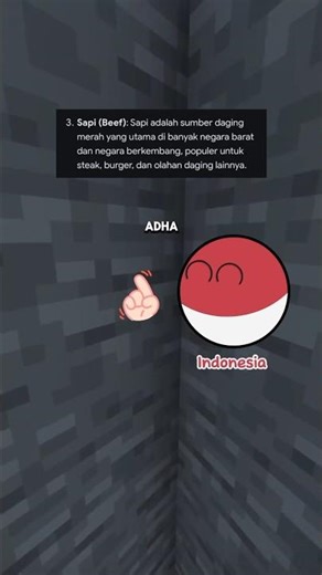 Animals that are often eaten by humans😋#countryballs