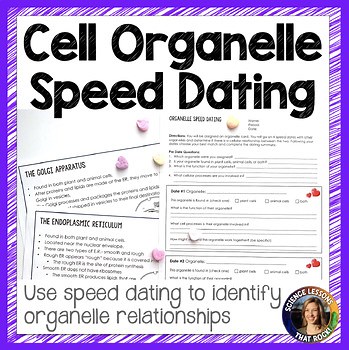 Cell Organelle Science Speed Dating Activity | Identifying relationships