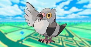 Pidove 100% perfect IV stats, shiny Pidove in Pokémon Go