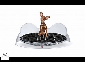 Benvenuto DDplus!!! Da oggi potrai trovare in vendita su www.infodog.info i prodotti di design dell'azienda DDplus... Anche il tuo cucciolo merita oggetti 🔝! Tienili d'👀! 👉 https://goo.gl/MLhQE1 | InfoDog