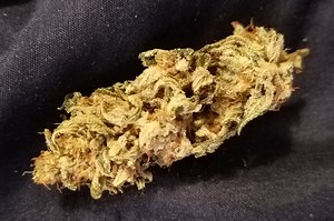 Blissful Wizard | Marijuana Strain Reviews