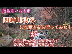 #355 【福島県いわき市】紅葉で有名な四時川渓谷へ行ってみたが、徘徊になってしまった件