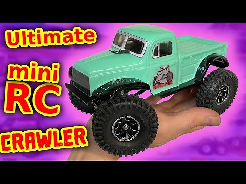 Project World's Best mini RC Crawler