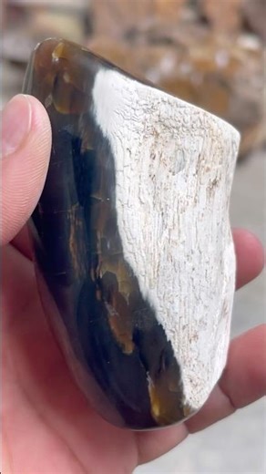 P1658 gỗ hóa Ngọc vô tình đào được ai ngờ #khuongthach #youtubeshorts