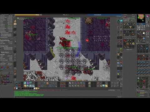 Tibia / Azzilon Castle (revisited)/ Royal Paladin / 12kk+ Exp @100% / Level 1600+