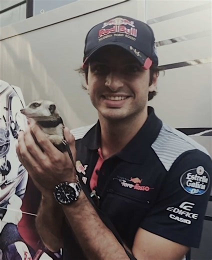 Carlos Sainz F1 Highlights and Edit