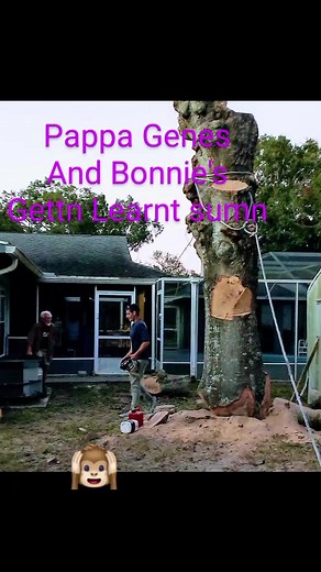 TreeMunkeys Tree Services on Reels