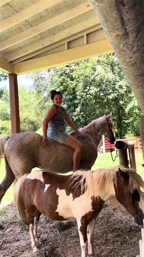 🥹🤍🥹🤍 #horse #jesus #equestrian #farm #rodeo #god #horsegirl #pony #joy #cowgirl #riding #ForYou￼