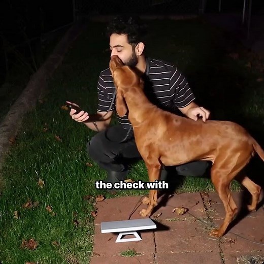 How to set up Starlink Travel a super easy step by step walkthrough