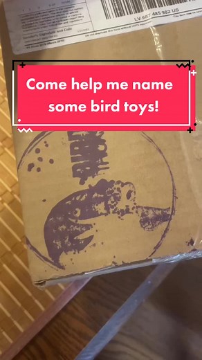 Unboxing Bird Toys from @BirdTricks: Help Name Them!