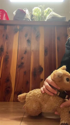 in the name of Jesus (@maple.the.chocolat)’s videos with Darlin' - Chase Matthew