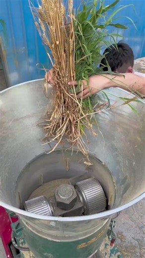 Efficient Animal Feed Production Using Pellet Mills