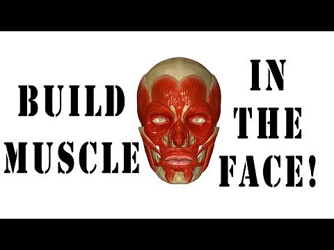 How To Strengthen Face And Jaw Muscles