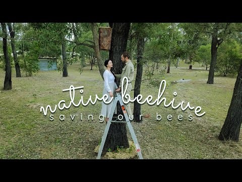 Making a Native Beehive | Saving Our Australian Bees